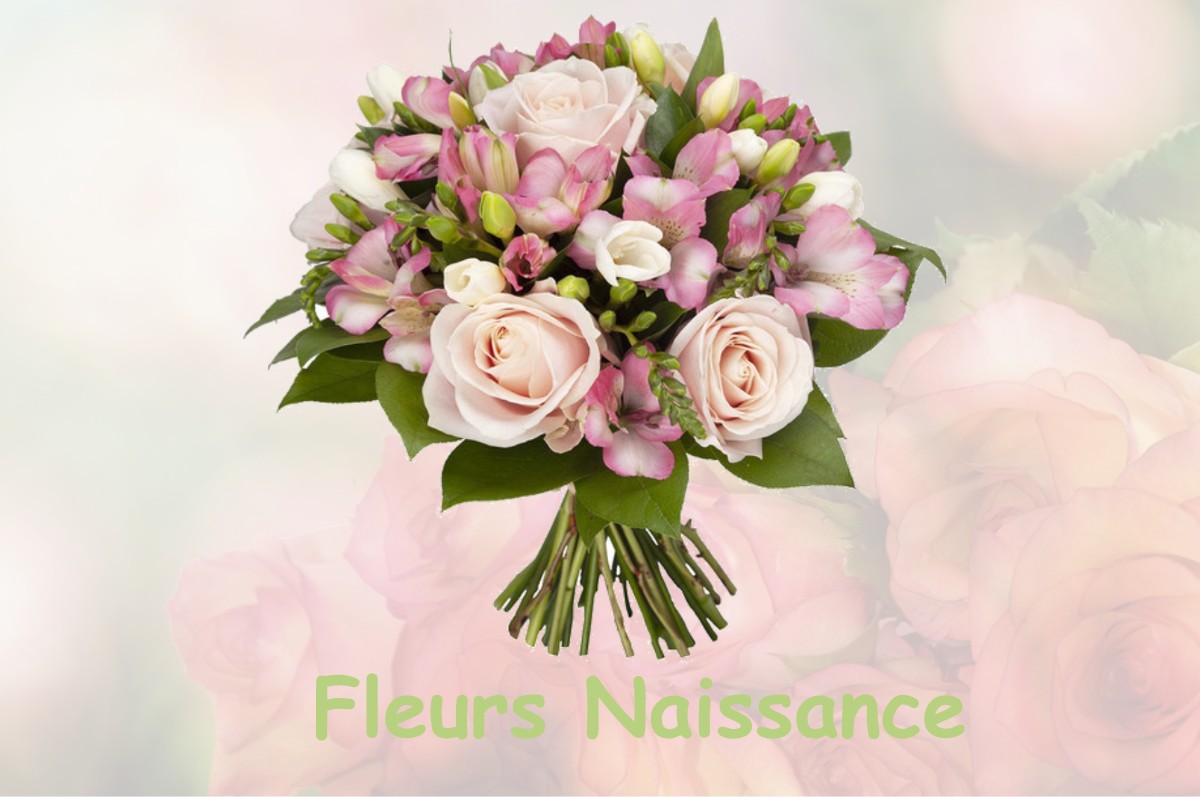 fleurs naissance FRANCAY
